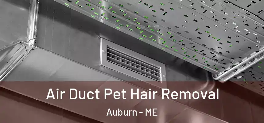  Air Duct Pet Hair Removal Auburn - ME