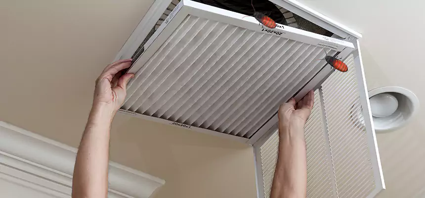 Our Insect Removal from Air Ducts Services in Auburn, ME
