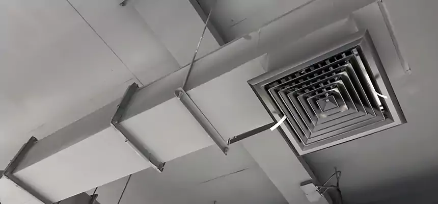 Our Rodent Droppings In Vents Services in Auburn, ME