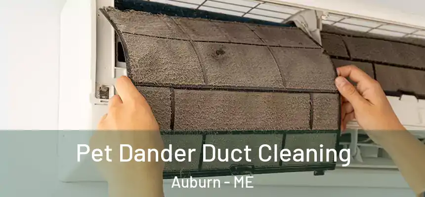 Pet Dander Duct Cleaning Auburn - ME