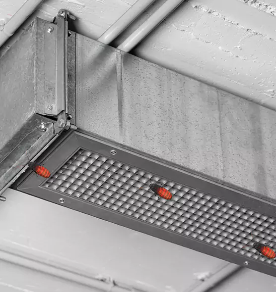 About Air Duct Cockroach Removal in Auburn, ME