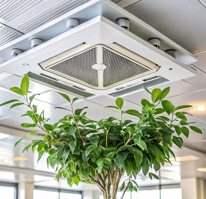 Why Homeowners & Businesses Trust Us in Auburn, ME